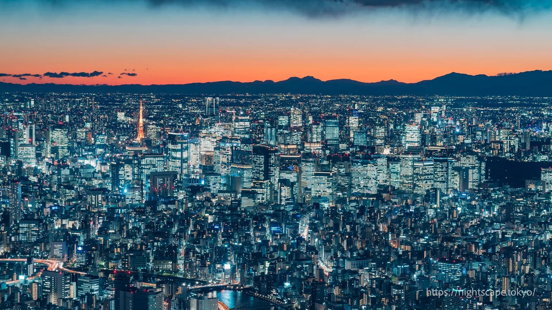 東京の夜景